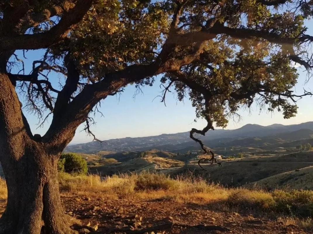 Terreno en venta en Mijas, Malaga photo 3