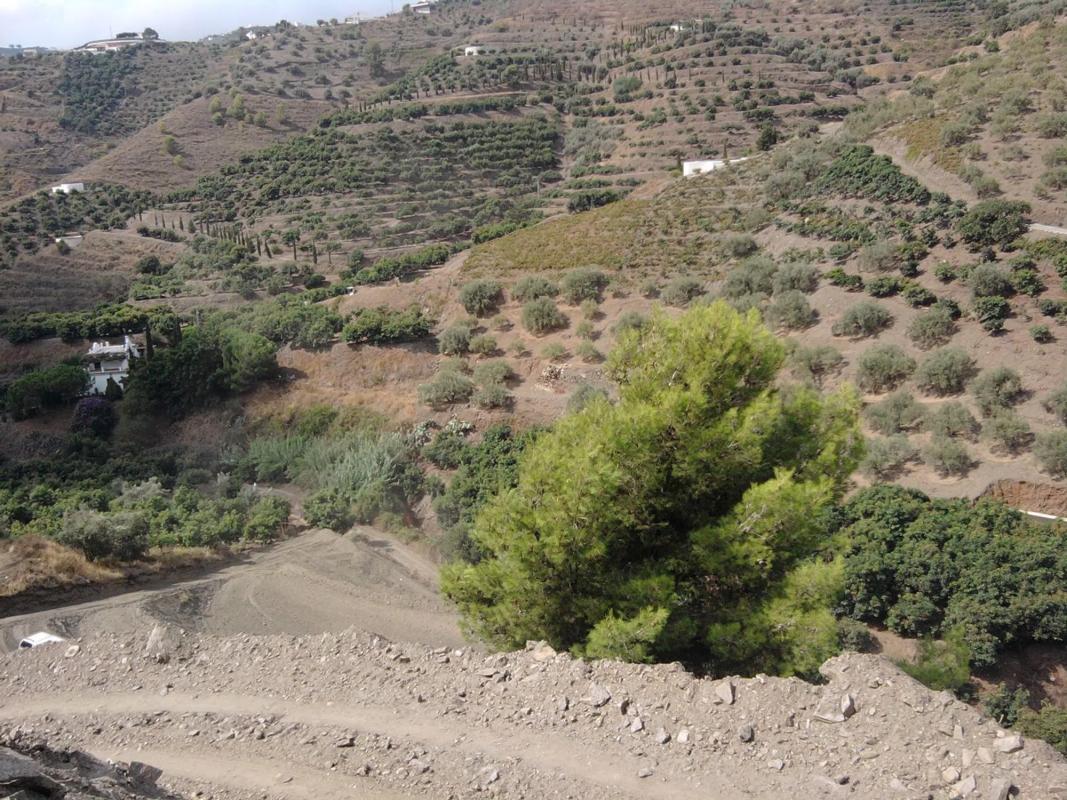 Terreno en venta en Frigiliana, Malaga photo 5