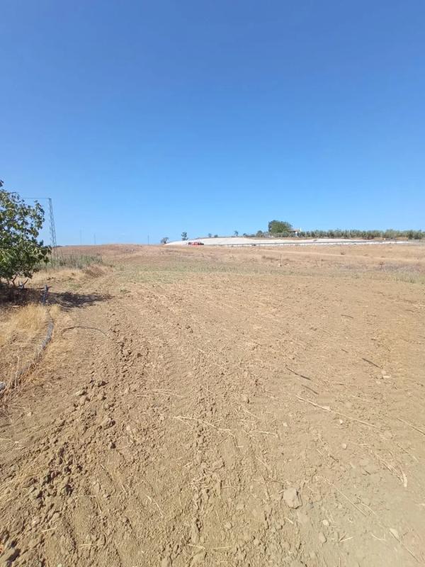 Terreno en venta en Alhaurín el Grande, Malaga photo 2