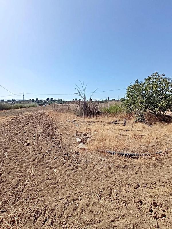 Terreno en venta en Alhaurín el Grande, Malaga photo 3