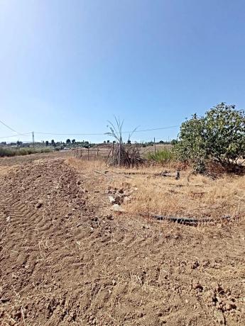 Terreno en Centro photo 3