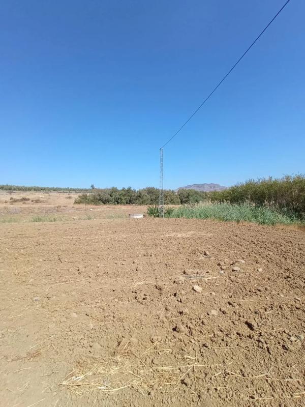 Terreno en venta en Alhaurín el Grande, Malaga photo 4