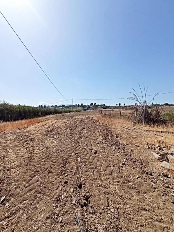 Terreno en venta en Alhaurín el Grande, Malaga photo 5