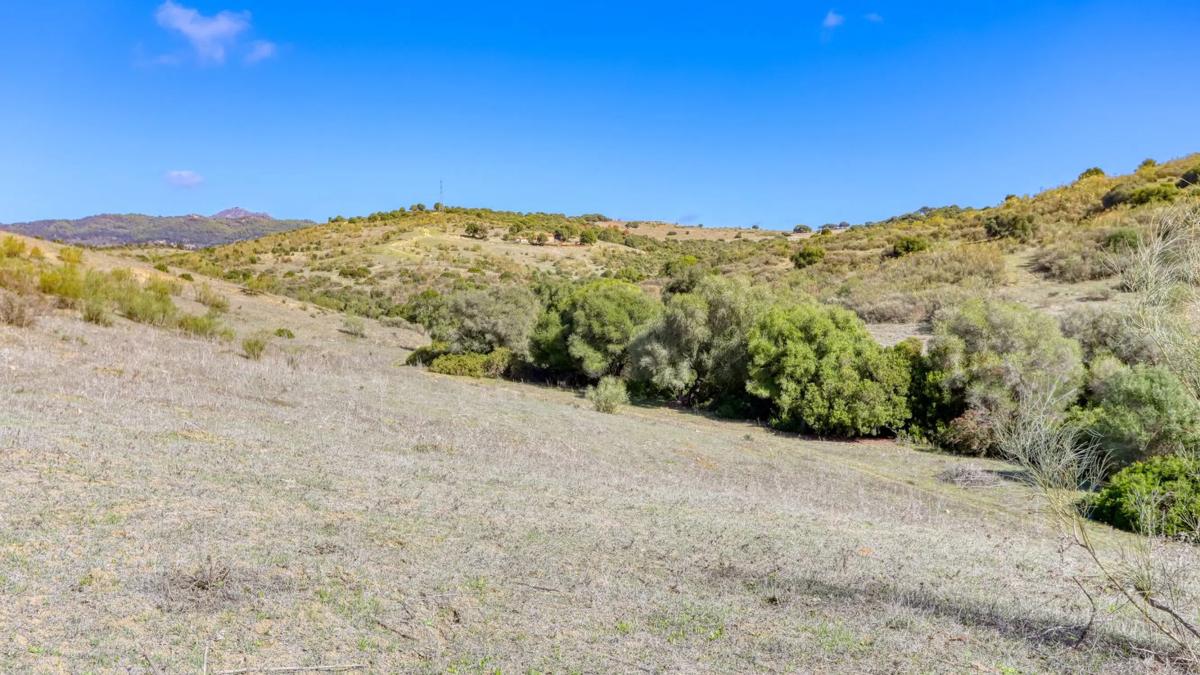 Land for sale in Gaucin, Malaga photo 1
