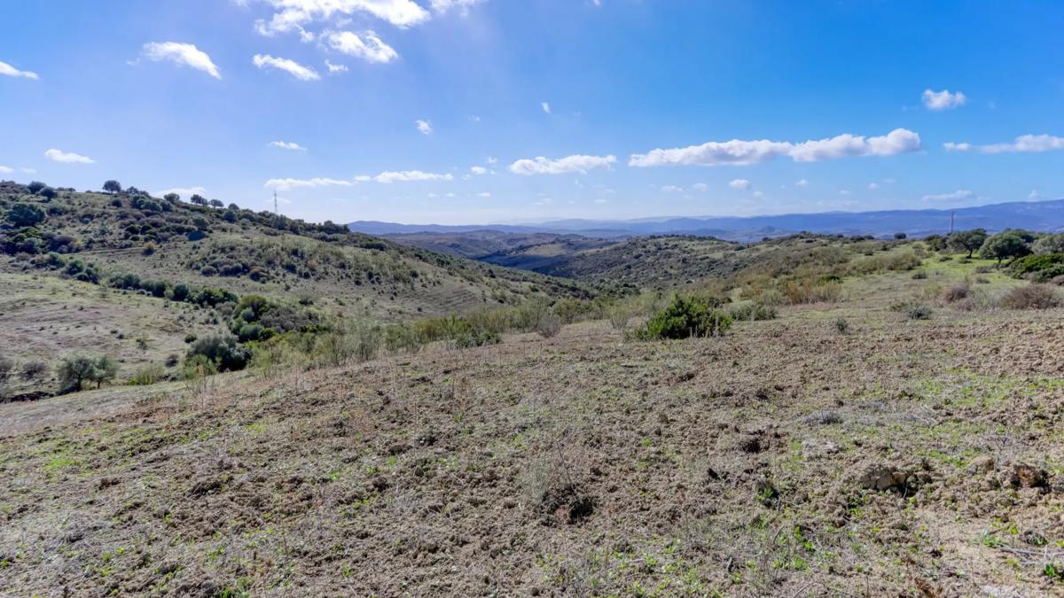 Land for sale in Gaucin, Malaga photo 2