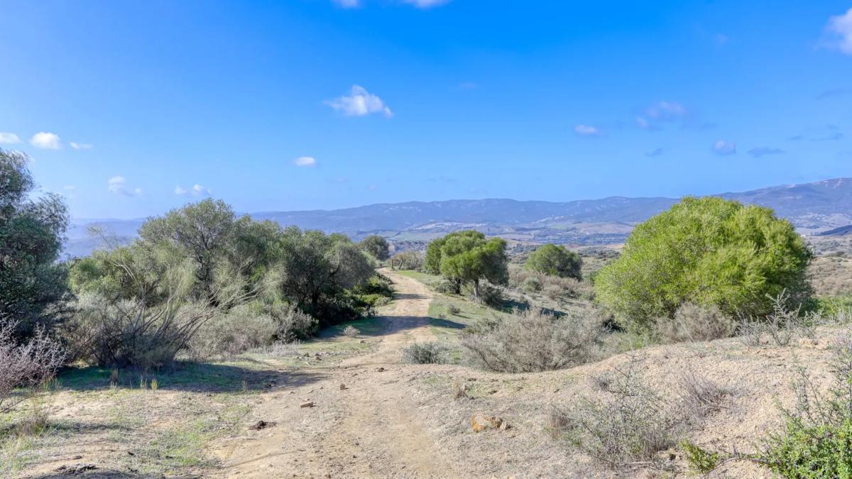Land for sale in Gaucin, Malaga photo 3