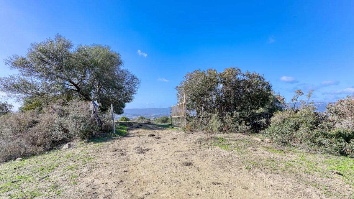 Land for sale in Gaucin, Malaga photo 4