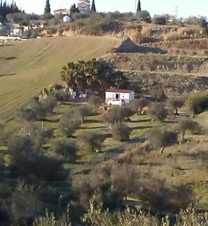 Terreno en Distrito El Cigarral photo 4