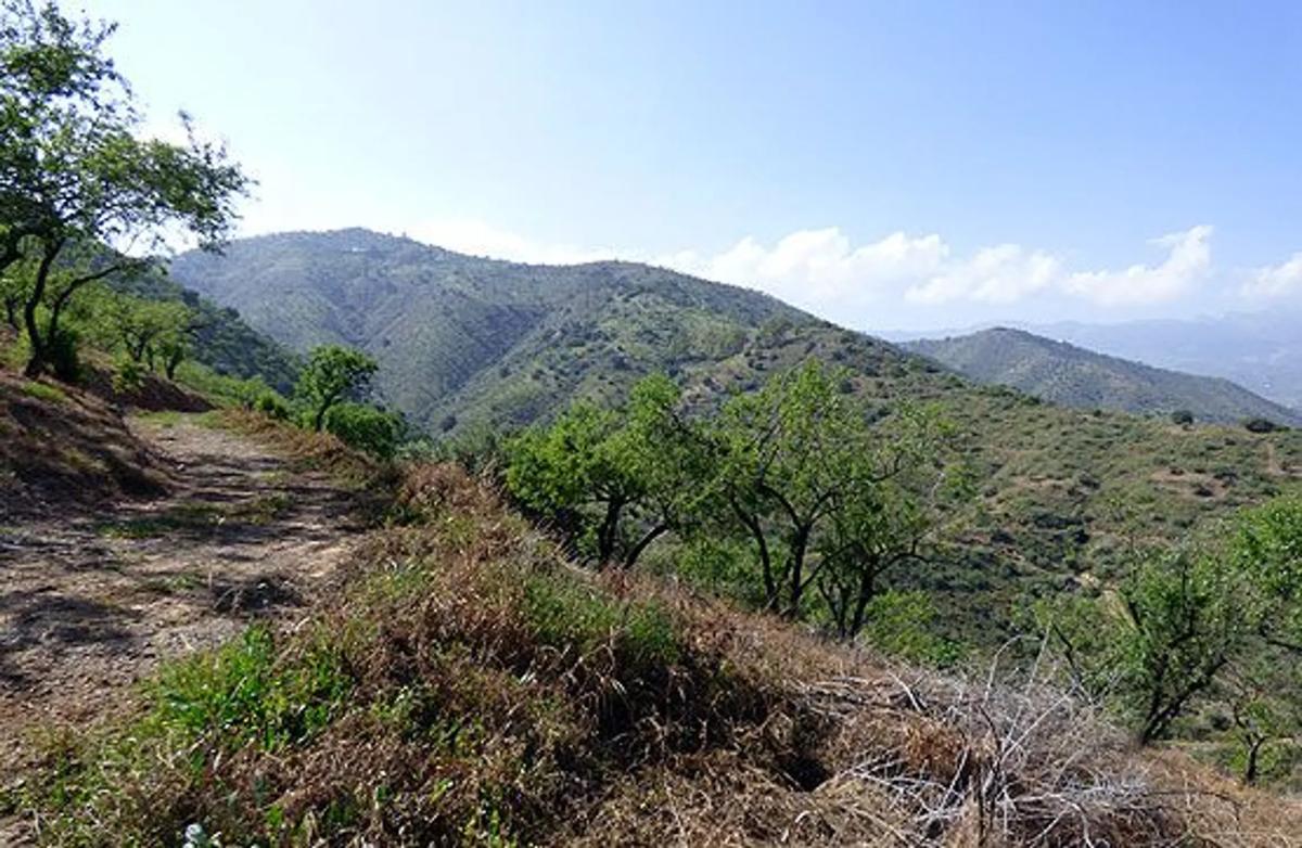 Land for sale in Comares, Malaga photo 4