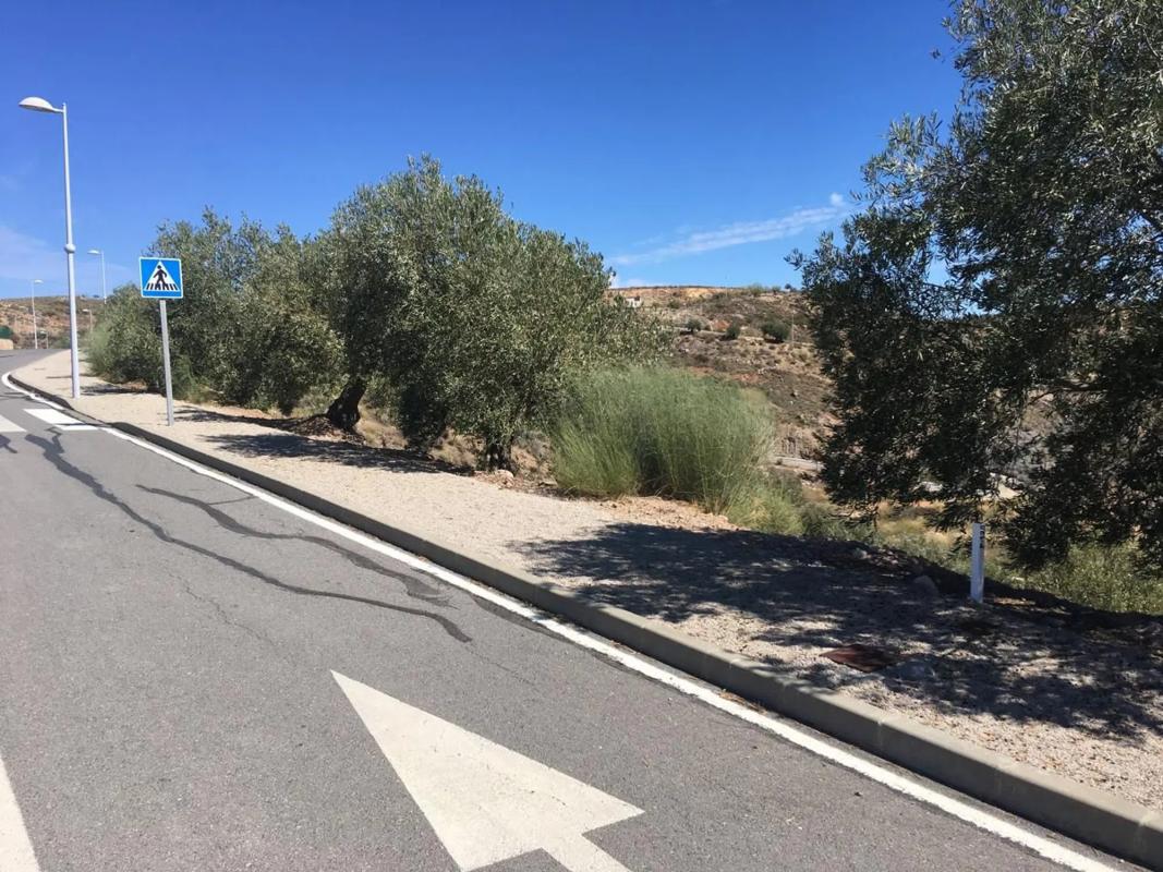 Działka na sprzedaż w Antequera, Malaga photo 3