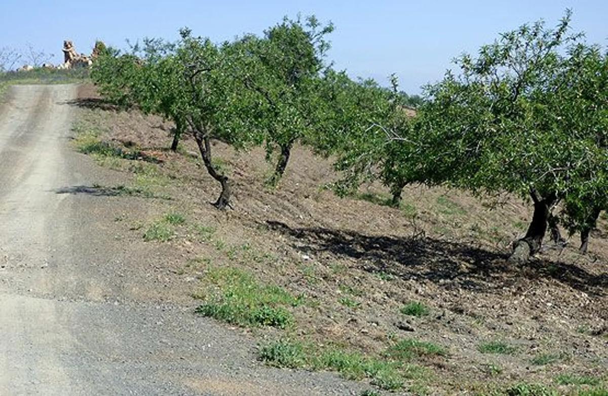 Terreno en venta en Riogordo, Malaga photo 3