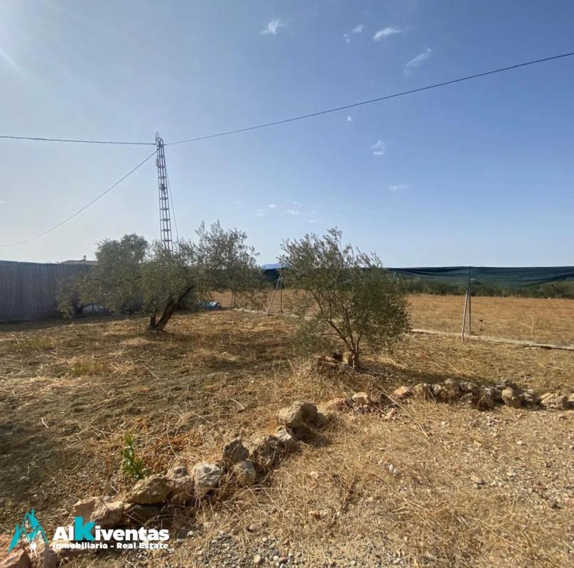 Terreno en venta en Alhaurín el Grande, Malaga photo 1