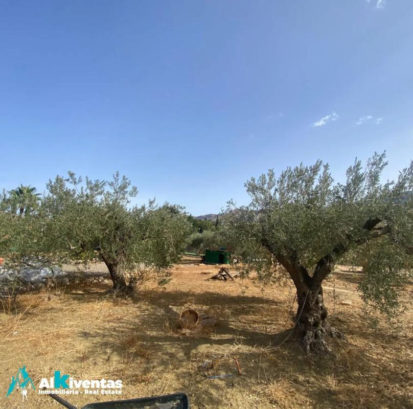 Terreno en venta en Alhaurín el Grande, Malaga photo 2