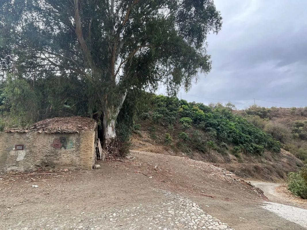 Terreno en venta en Vélez-Malaga, Malaga photo 5