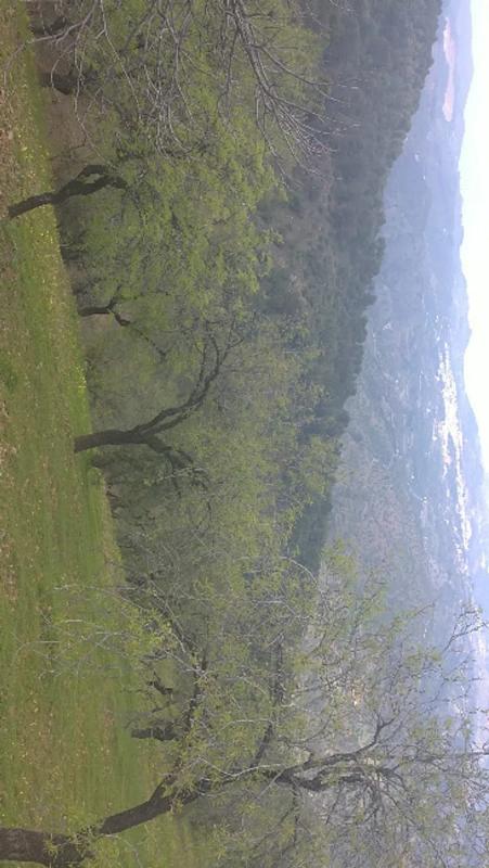 Land for sale in Tolox, Malaga photo 3