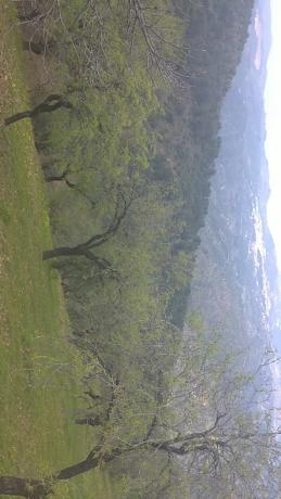 Terreno en Paraje Aguilera s/n thumbnail 2