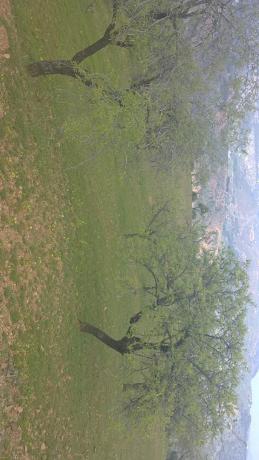 Terreno en Paraje Aguilera s/n photo 4