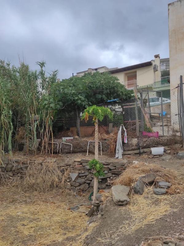 Land for sale in Benamargosa, Malaga photo 3