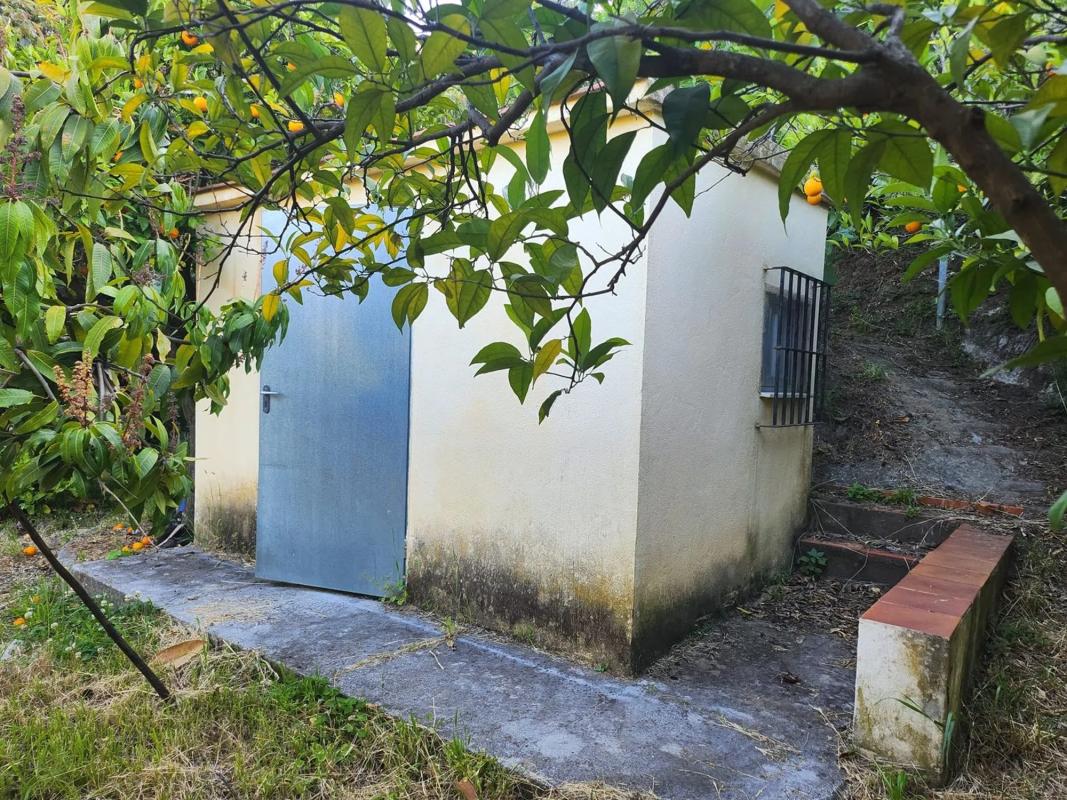 Land for sale in Ojén, Malaga photo 1