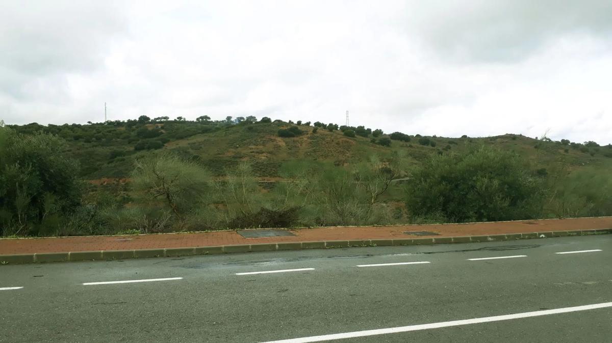 Działka na sprzedaż w Antequera, Malaga photo 5