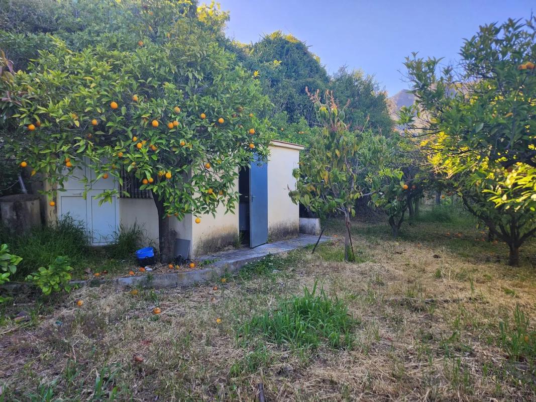 Land for sale in Ojén, Malaga photo 4