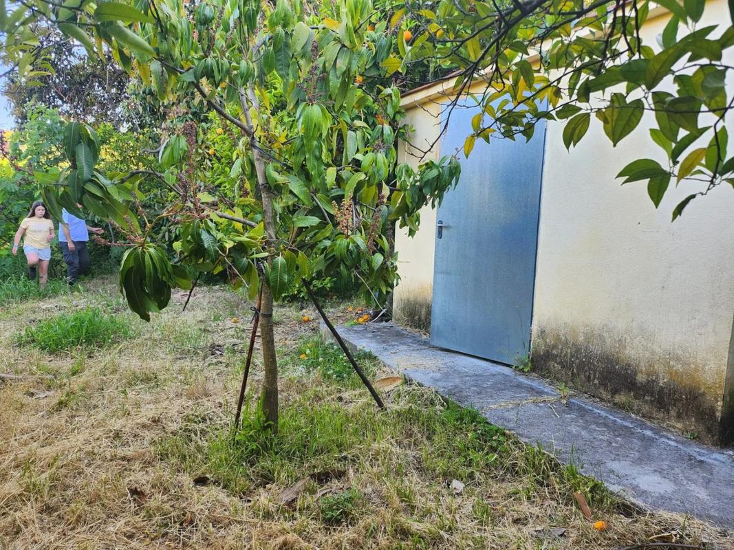 Land for sale in Ojén, Malaga photo 5