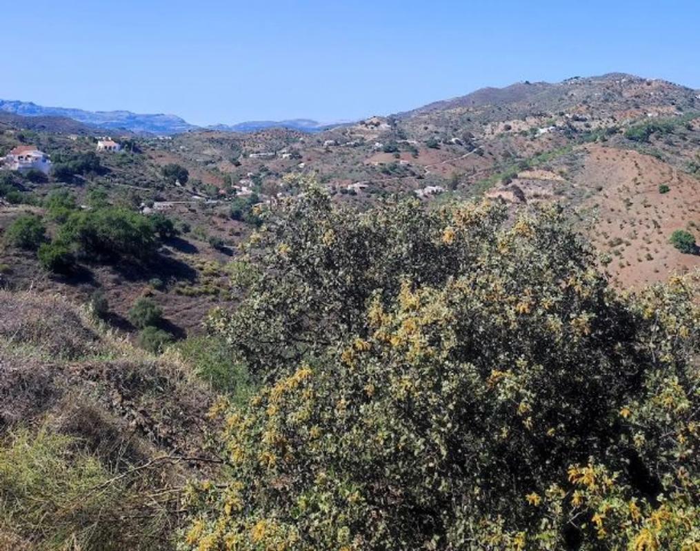 Działka na sprzedaż w Almogía, Malaga photo 2