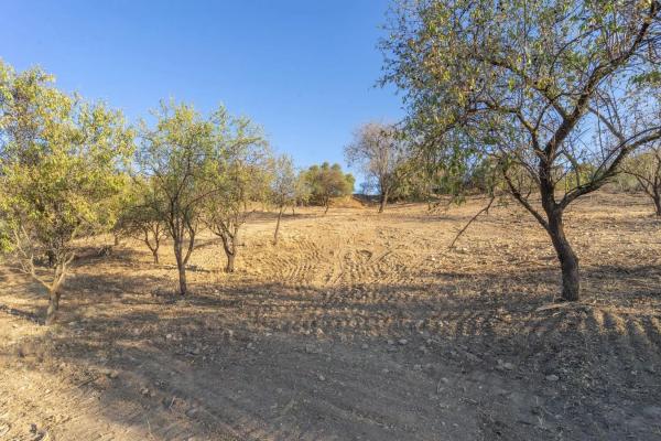 Terreno en Capellanía - Retamar photo 1