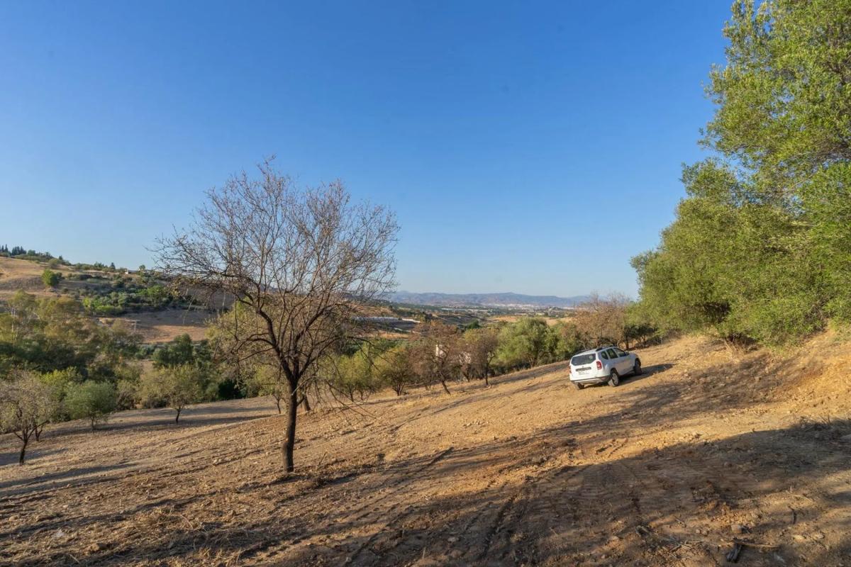 Land for sale in Alhaurín de la Torre, Malaga photo 2