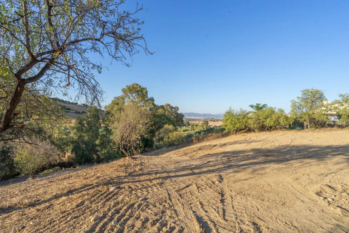 Land for sale in Alhaurín de la Torre, Malaga photo 3