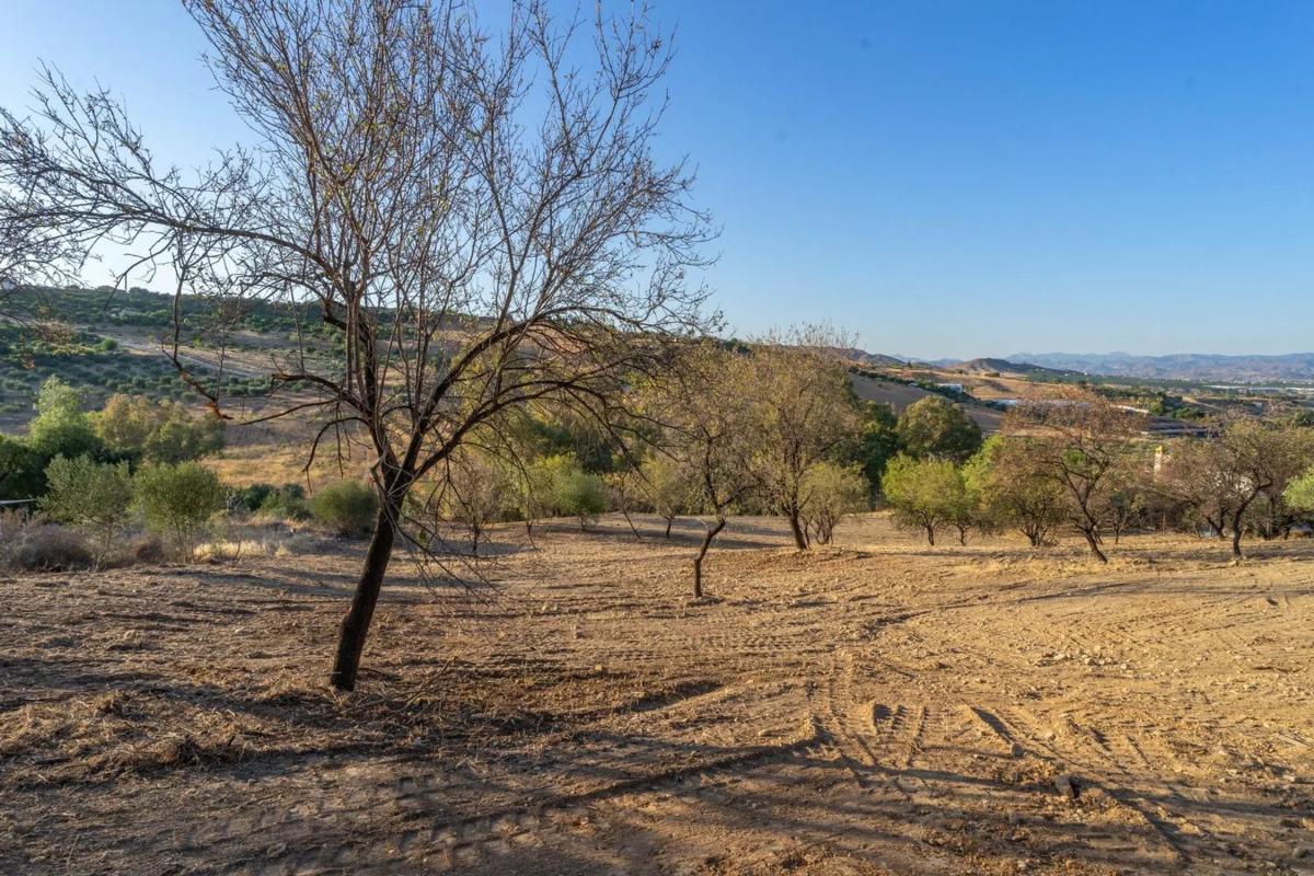 Land for sale in Alhaurín de la Torre, Malaga photo 4