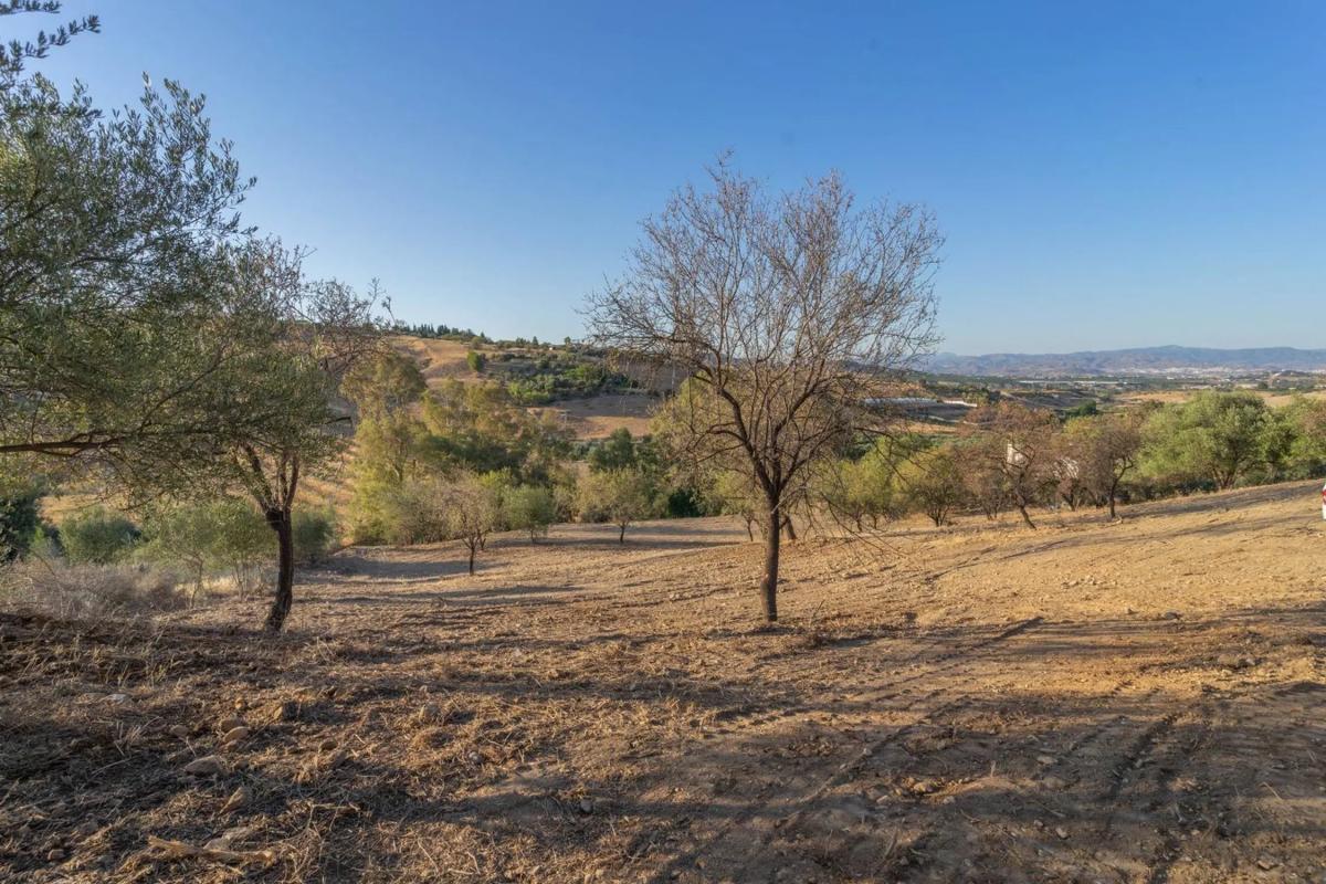 Land for sale in Alhaurín de la Torre, Malaga photo 5