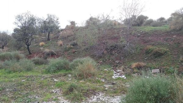 Terreno en calle Estados Unidos thumbnail 1