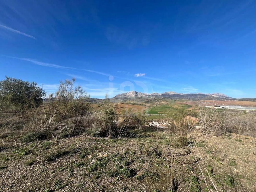 Terreno en venta en Casabermeja, Malaga photo 5