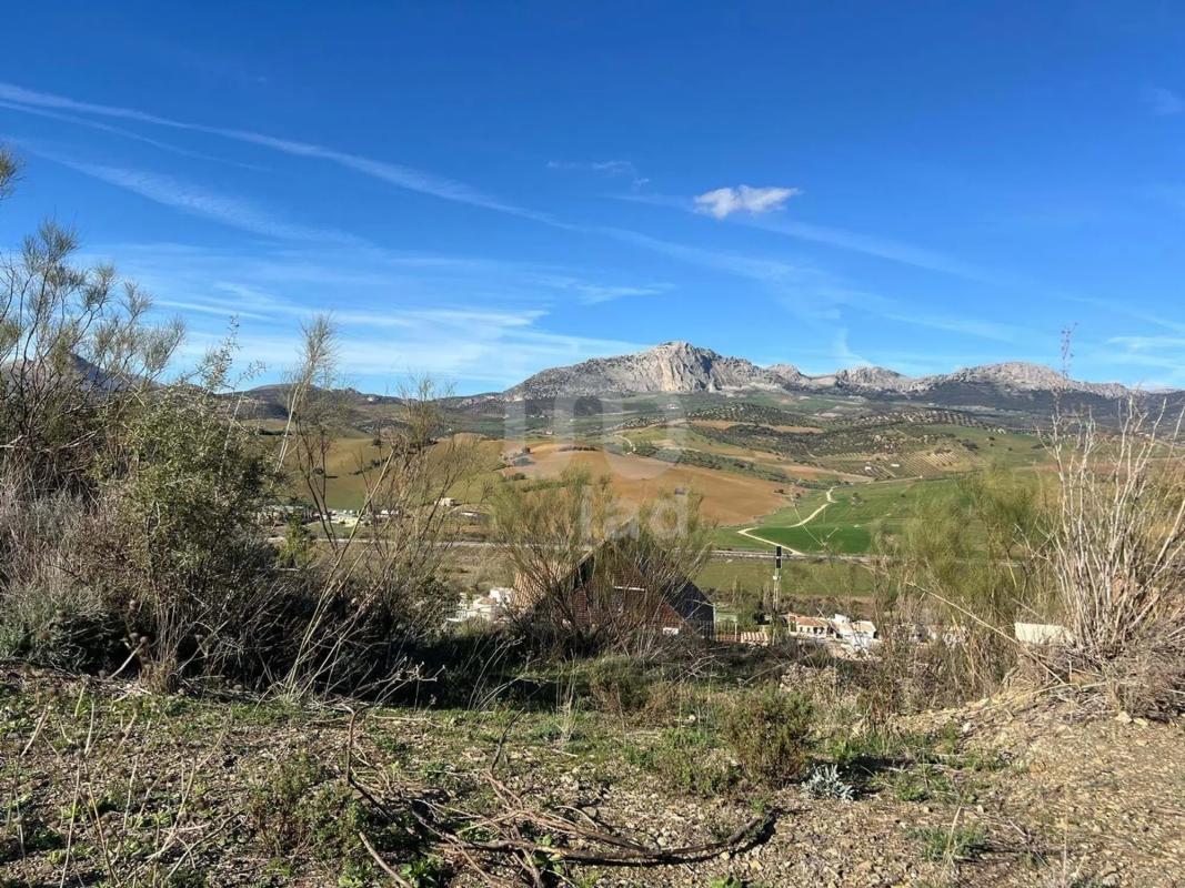 Land for sale in Casabermeja, Malaga photo 4