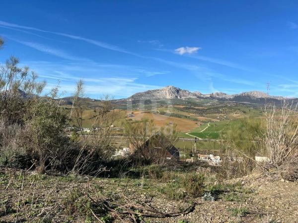 Terreno en calle Porton, 2 -12 photo 4