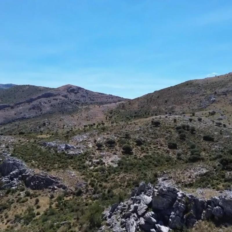 Terreno en venta en Ronda, Malaga photo 4