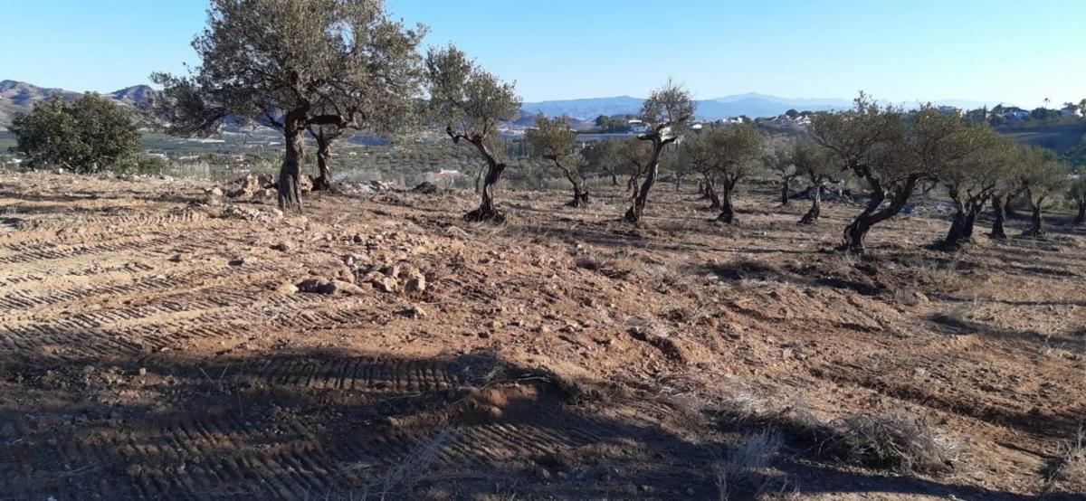 Terreno en venta en Alhaurín el Grande, Malaga photo 3