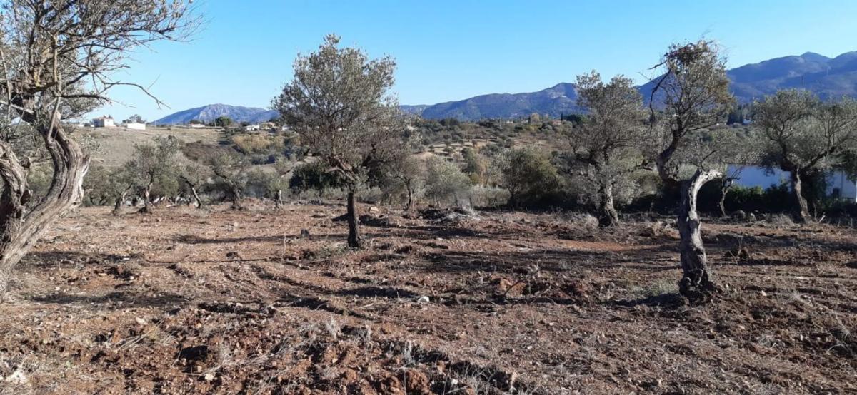 Terreno en venta en Alhaurín el Grande, Malaga photo 4