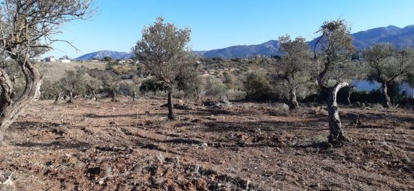 Terreno en carretera Málaga, km 15 photo 4