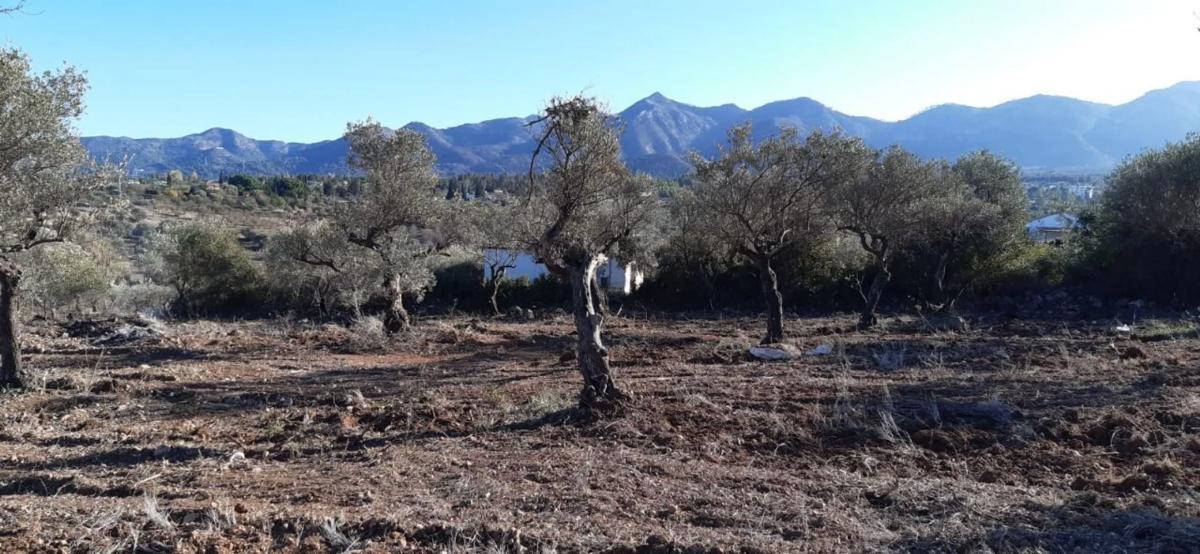 Terreno en venta en Alhaurín el Grande, Malaga photo 5