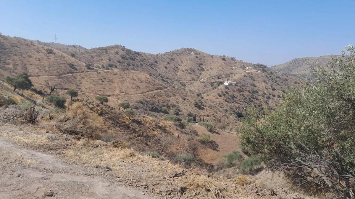 Terreno en venta en Alora, Malaga photo 3