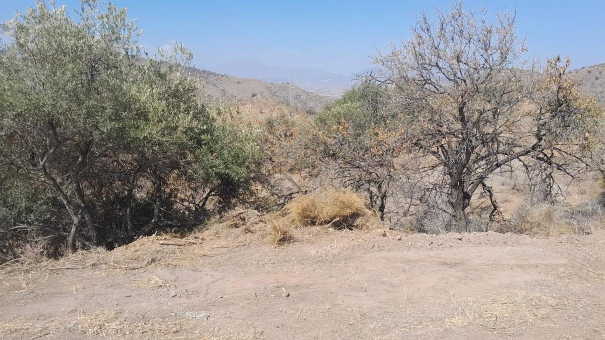 Terreno en venta en Alora, Malaga photo 4