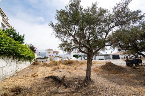 Terreno en Avda Pescia - Ctra de Frigiliana photo 1