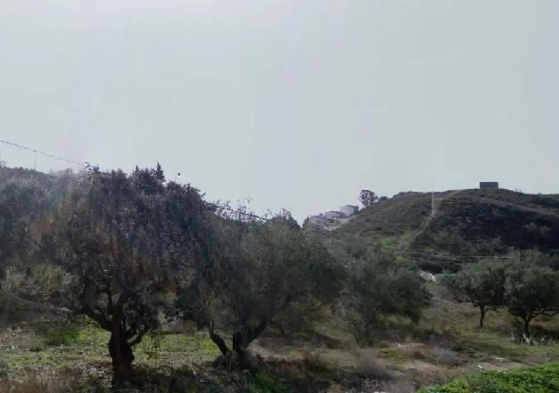 Terreno en venta en Almayate Bajo, Malaga photo 5