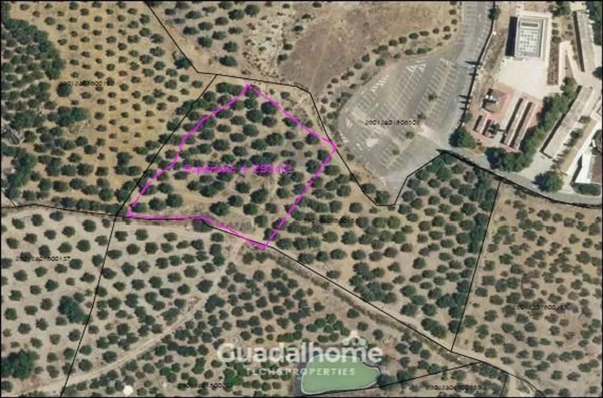 Land for sale in Alora, Malaga photo 1