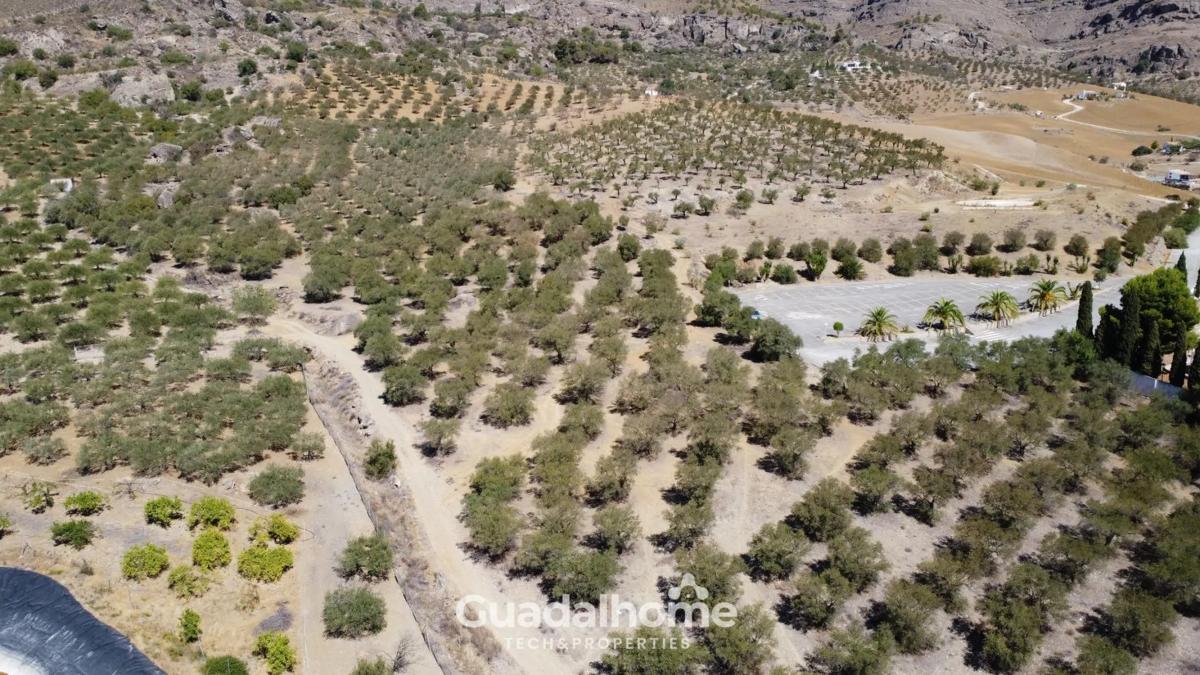 Land for sale in Alora, Malaga photo 4
