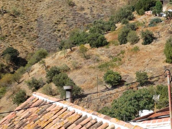 Terreno en Moclinejo photo 2