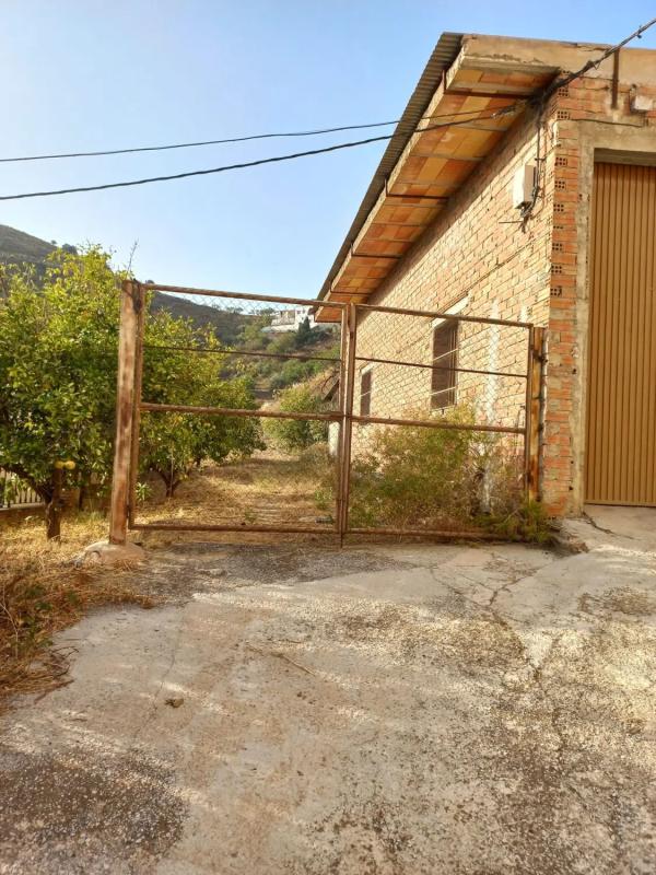 Terreno en venta en Sayalonga, Malaga photo 5