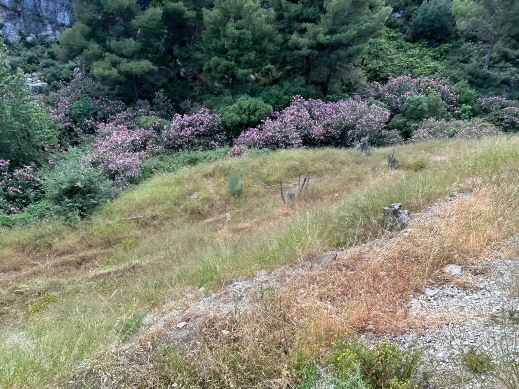 Terreno en venta en Canillas de Albaida, Malaga photo 1